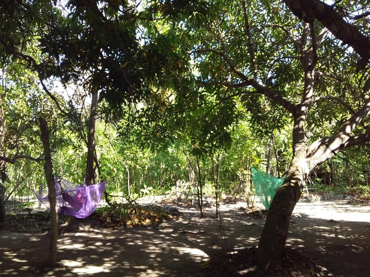Eco-camping Mango Feliz Rincon Del Mar Camping