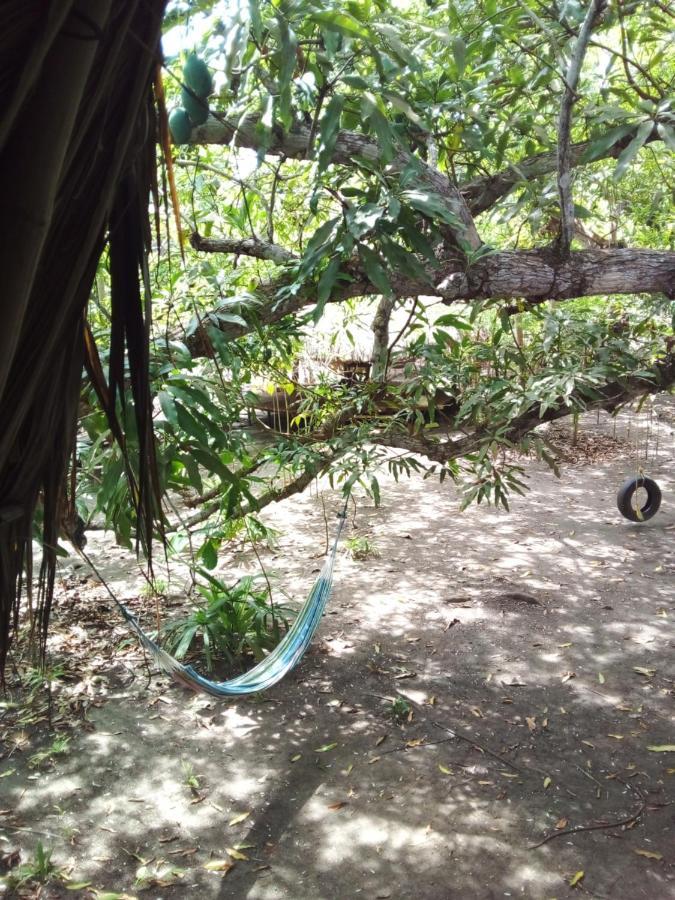 Eco-camping Mango Feliz Rincon Del Mar * San Onofre