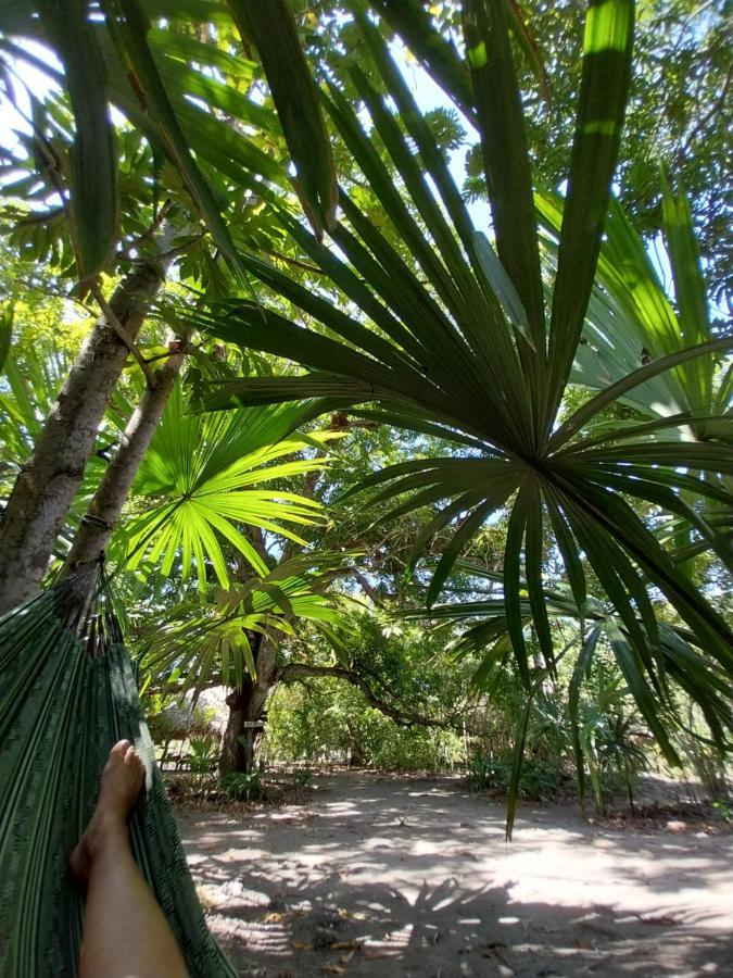 Eco-camping Mango Feliz Rincon Del Mar Camping