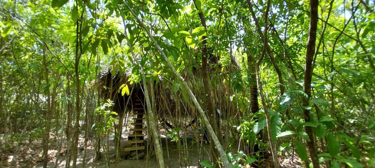 Camping Eco-camping Mango Feliz Rincon Del Mar *