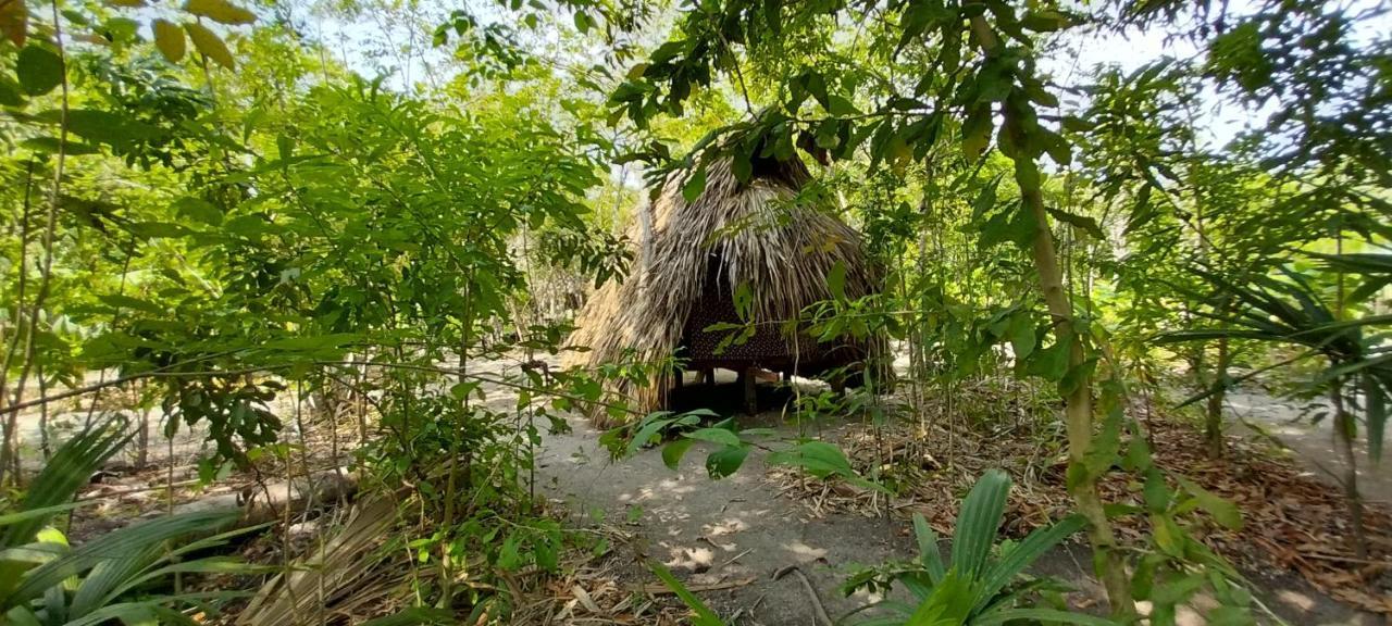 Eco-camping Mango Feliz Rincon Del Mar Camping *