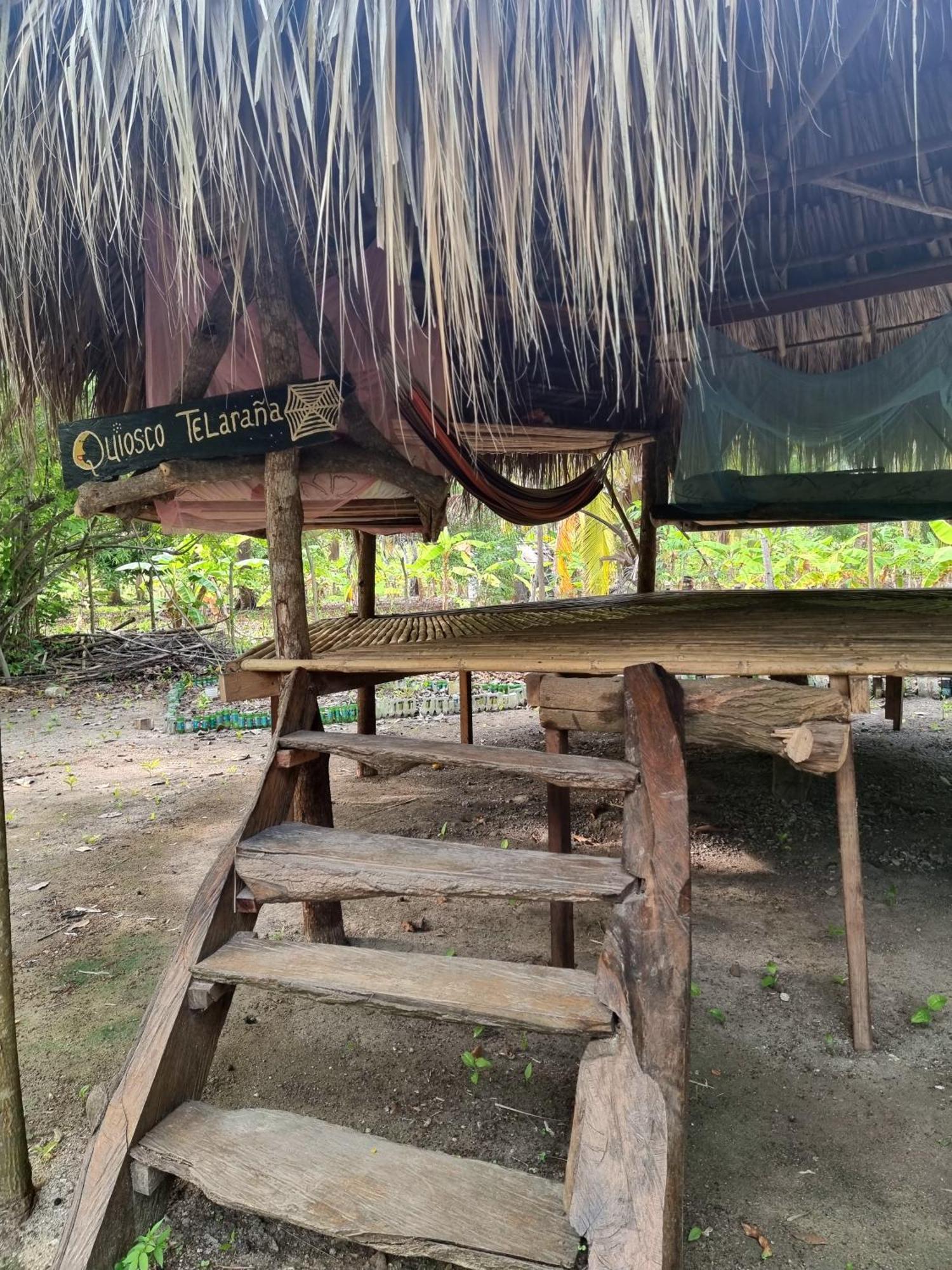 Camping Eco-camping Mango Feliz Rincon Del Mar San Onofre