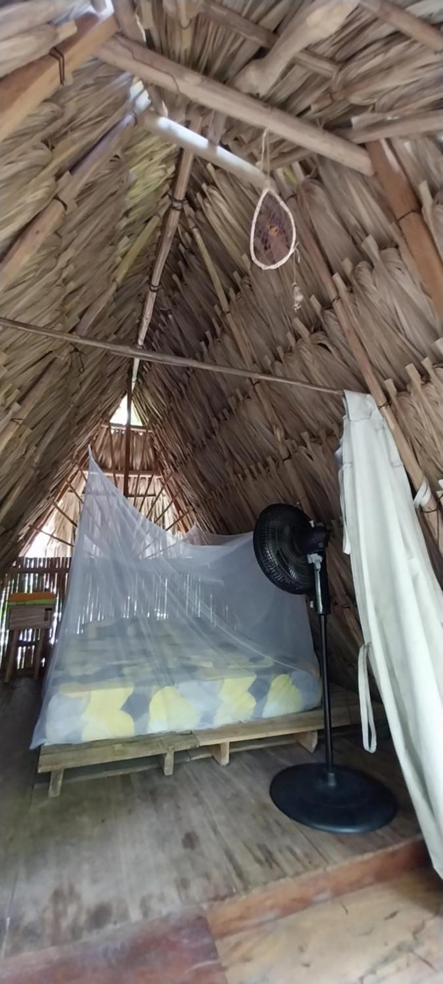 Camping Eco-camping Mango Feliz Rincon Del Mar San Onofre