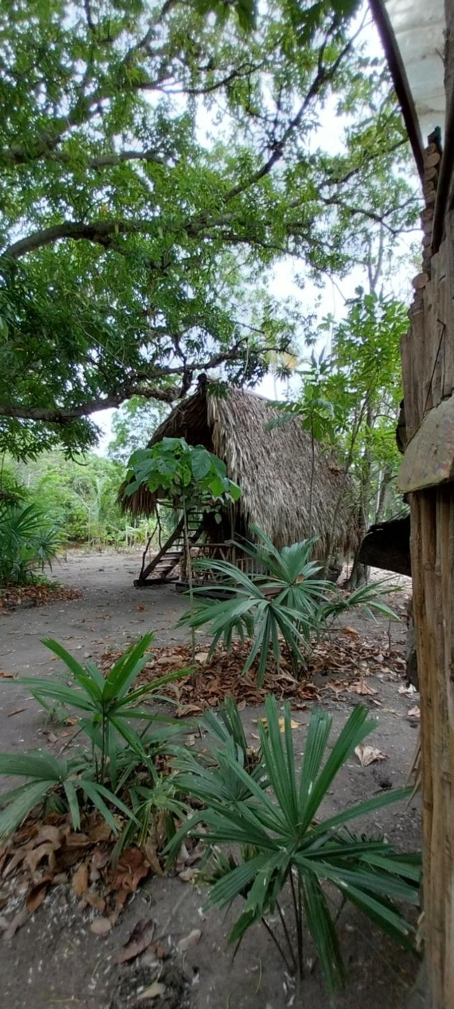 Eco-camping Mango Feliz Rincon Del Mar Camping San Onofre