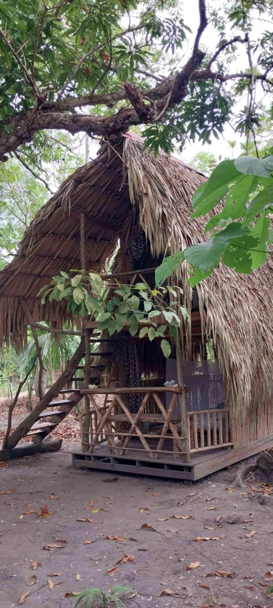 Eco-camping Mango Feliz Rincon Del Mar Camping