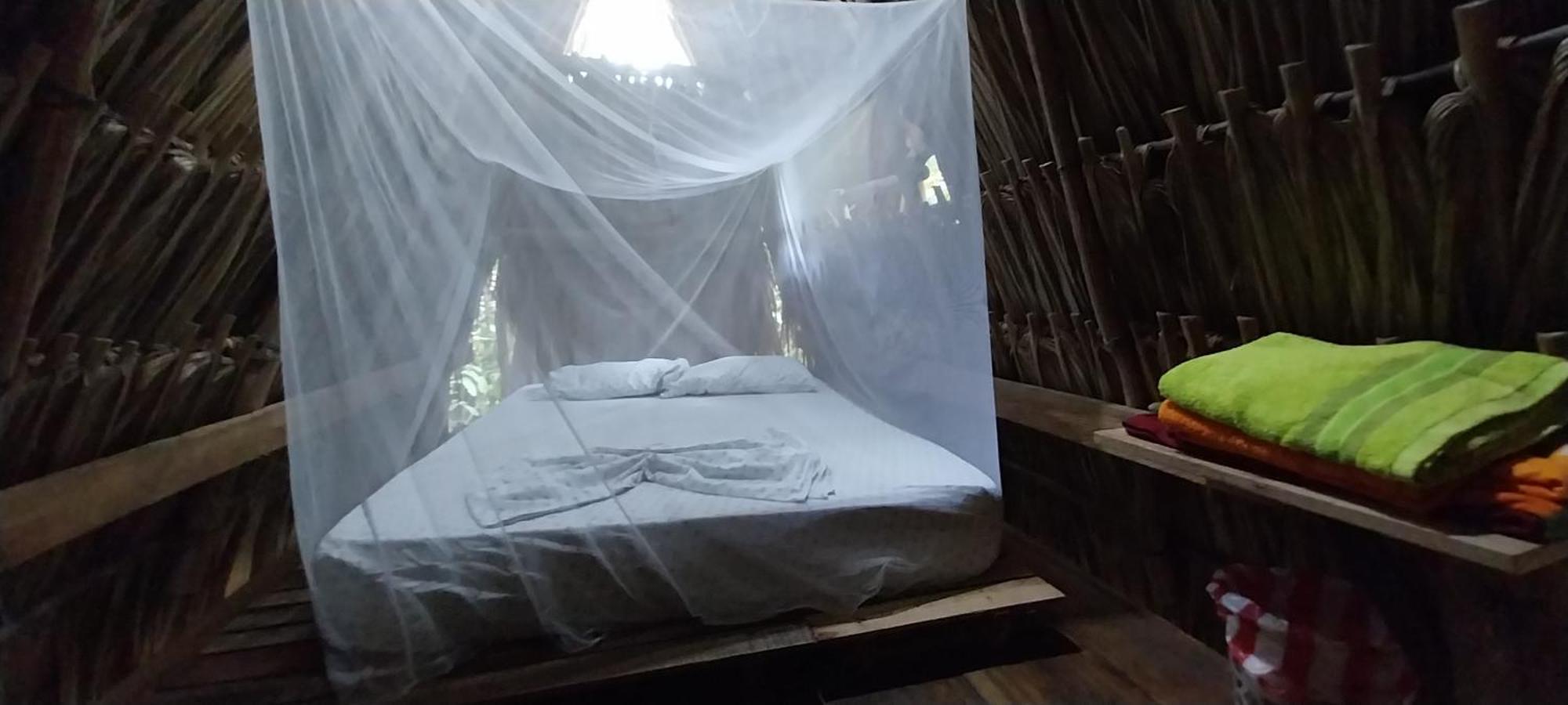 Eco-camping Mango Feliz Rincon Del Mar Camping