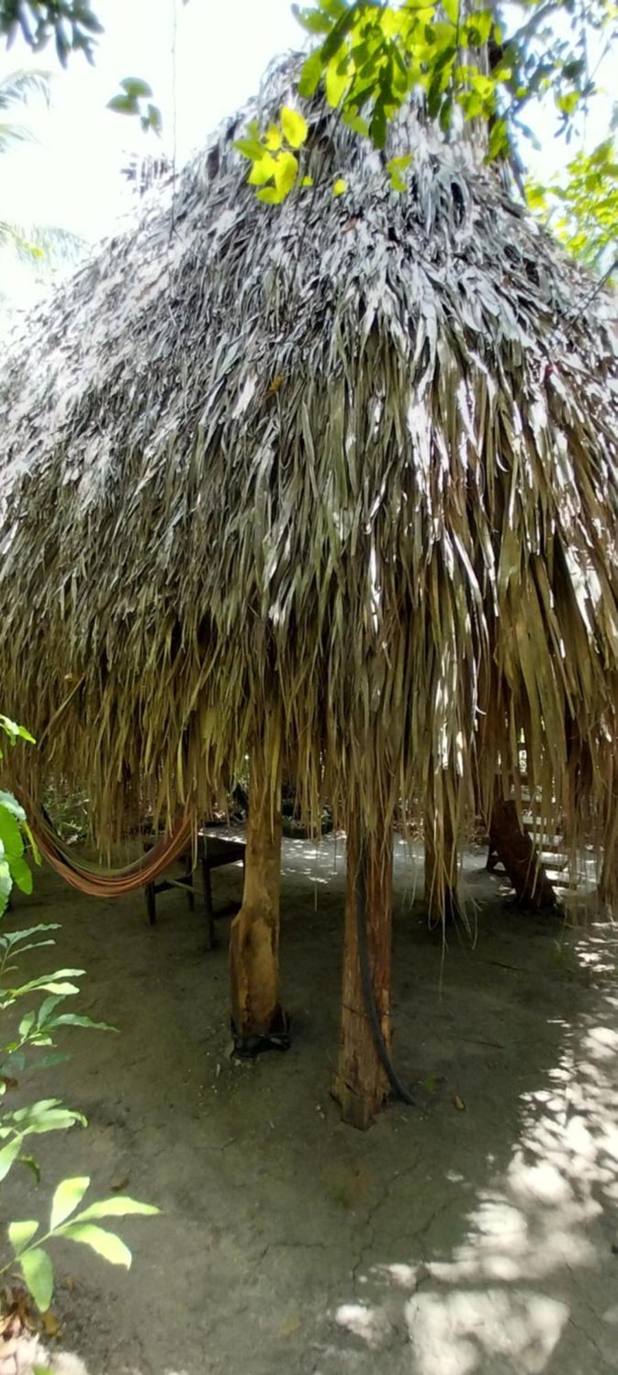 Camping Eco-camping Mango Feliz Rincon Del Mar